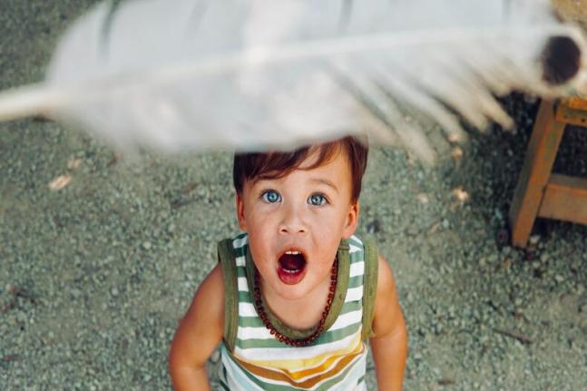Enhancing Learning With a Sense of Wonder